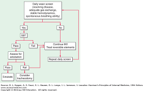 mechanical ventilatory support harrisons principles of