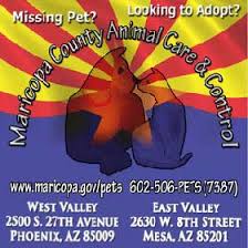 The market is held at 5757 n central ave, phoenix, az 85012 from 8 am. New Hope Dog Rescue