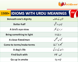 List Of English Idioms In Urdu Meanings With Sentences Pdf English Idioms With Urdu Meanings And Sen Learn English Words Learn English Basic English Sentences