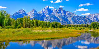Depending on the time of year keep your eyes open for snow, wildflowers, the famous elk antler arches, elk themselves, and more. What To Do In Jackson Hole Wyoming Shopping Restaurants And More Architectural Digest