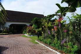 Ukuran saiz dan ketingggian orkid bergantung pada jenisnya: Gambar Ini Rahsia Orkid Di Laman Jadi Mabuk Bunga Impiana