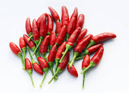 How do you dry hot peppers from the garden. 270 Small Dry Chili Peppers Photos Free Royalty Free Stock Photos From Dreamstime