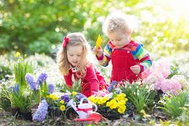 Cole crops like broccoli, cauliflower, and cabbage can be direct seeded into your garden around march 9, assuming the ground can be worked, but it's better to start them indoors around february 10 and then transplant them into the garden around march 31. Garden Plants That Are Safe For Children Kids Do Gardening
