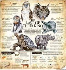 Vanishing Species Endangered Animals Rare Animals Prehistoric Animals