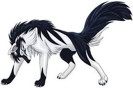 Image of wallpaper joy tail white background blue eyes ears grey. A Black And White Wolf Anime Anime Wolf Wolf Pictures Anime Animals