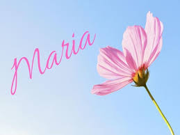 Pin Su Frasi