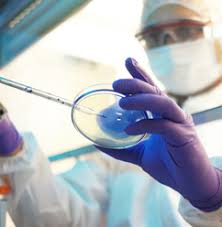 Order to more accurately describe hyaluronic acid. Sodium Hyaluronate Lifecore