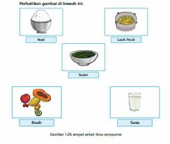 Aneka gambar mewarnai gambar mewarnai sayur lobak warna sketsa gambar. Gambar Mewarnai Menarik Mewarnai Gambar Makanan Empat Sehat Lima Sempurna