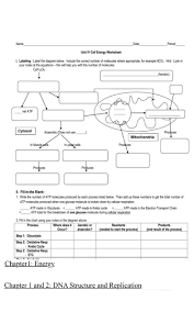 Unit 12 dna worksheet structure of dna and replication answers. Dna Structure And Replication Worksheet Promotiontablecovers