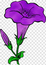 Japanese Morning Glory Common Morning Glory Drawing Blue Dawn Flower Ipomoea Herbaceous Plant Wildflower Transparent Png This is a print of my original watercolor. herbaceous plant wildflower transparent png