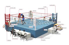 sports and games > combat sports > boxing > ring image - Visual ...