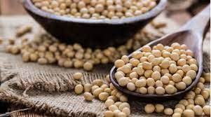 Can Pregnant Women Eat Soya Beans Vaya News