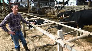 Brim usually means the inside of the rim, at the top of a hollow object (except of a hat), and is used particularly when the object contains something: Pour Cet Eleveur De Wirwignes Le Lait C Est Fini Il Vend Ses Vaches