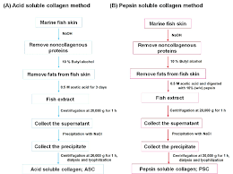 A Flowchart For The Isolation Of Collagen From Marine Fish