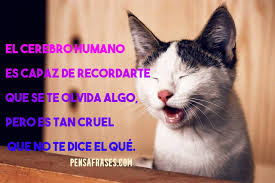 Frases originales para felicitar el día del padre. Frases Graciosas Para Reir Cada Dia Imagen Con Frases Pensafrases