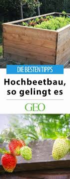 Diy Hochbeet Selber Bauen Mit Diesen Tipps Gelingt Der Hochbeetbau Ein Hochbeet Bietet Obst Gemuse Und Kraut Hochbeet Selber Bauen Hochbeet Garten Hochbeet