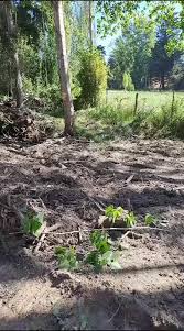 marcel muñoz (@marcel_mix28)