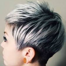 Black And Silver Hair Color Pin On Hair