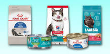 The Best Indoor Cat Foods of 2025