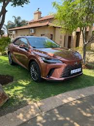 Image result for Autumn Shimmer 2019 UX