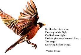 Be Like The Bird Victor Hugo 2074 X 1416 Oc R Quotesporn