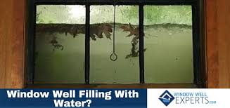 Are Your Window Wells Filling With Water Window Well Experts
