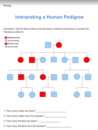 Genetics building a pedigree activity ° a pedigree is a diagram that shows how organisms are related and also traces the occurrence of a particular trait or characteristic for several. Solved Biology Interpreting A Human Pedigree Directions Chegg Com