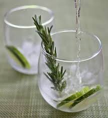 Recipe Cucumber Rosemary Gin And Tonic Recipe Gin And Tonic Gin Vodka Tonic