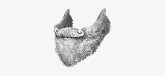 Goatee Png Santa Claus Beard Png 10578 Barba Branca Png Free Transparent Png Download Pngkey Search more hd transparent goatee image on kindpng.