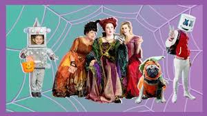 #kitten update #kitten #cat #halloween costume #halloween #fish taco. Here Are 2020 S Creative Trending Halloween Costumes According To Google Gma