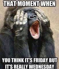 .funny accidents funny ads funny animals funny cartoons funny comics funny conversations funny kids funny me funny memes funny messages funny moments funny people funny pictures funny quotes funny sayings funny signs funny situations funny stories humor. Funny Monkey Friday Moment Wednesday Memes Monkeys Funny Wednesday Humor