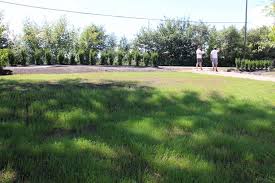 How long does germination take? How Long Does It Take For Grass Seed To Germinate Home For The Harvest