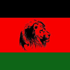 The colors black, red, and green appeared on most of them national symbol(s) lion; Afghanistan United Party Aup Party Twitter