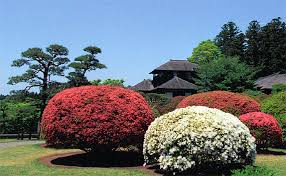 Resultado de imagem para belos jardins