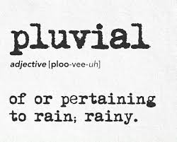 Pluvial Words Unusual Words Weird Words