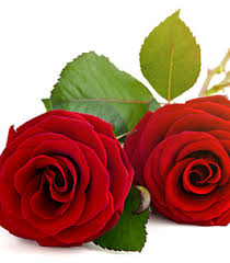 Grand rapids at funeral homes guide. Wayne Harris Obituary Grand Rapids Mi Ivy K Gillespie Memorial Chapel
