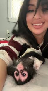 Play fights with the baby 🐒🤍 #spidermonkeysoftiktok #exoticpets #playtime  #fyp ##parati @mz.l0vely