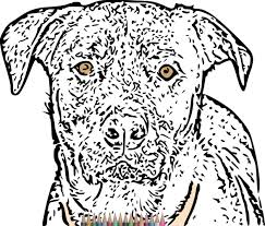 Puppy coloring pages are a fun way for kids of all ages, adults to develop creativity, concentration, fine motor skills, and color recognition. Pin On Coloring Pages
