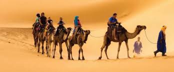 Tours in morocco and exploring atlantic coast cities and places with experienced drivers and guides. Camel Tours Best Desert Tours Private Or Shared Camel Trekking