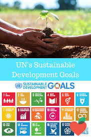 Professional Development Course On The United Nation S Sustainable Devel Sustainable Development Goals Sustainable Development Un Sustainable Development Goals