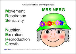 Main difference between animal cell and plant cell is nutrition growth movement respiration. Life Processes And Cells Grade 6 Flashcards Quizlet