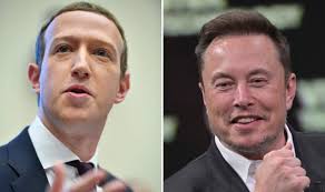 UFC legend will train Elon Musk to give Mark Zuckerberg a face-hook in cage  match