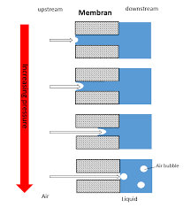 How Is The Filter S Bacterial Retention Capability Connected With Its Integrity