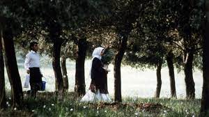 We did not find results for: Through The Olive Trees 1994 Directed By Abbas Kiarostami Reviews Film Cast Letterboxd