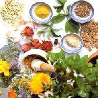 It contains parliament, rastrapati bhawan , india gate, connaught place, lodhi gardens, jantar mantar etc. Retailer Of Fumigated Wooden Pallet Herbal Pest Control Capital Pest Control India Delhi