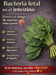 🔥 ¿Sabías que esta hoja verde puede ayudarte a limpiar tu intestino de forma  natural? No es magia… es nutrición inteligente. La ESPINACA 🥬 es una de  las verduras más poderosas para