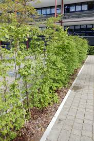 Gartenbau & landschaftsbau chemnitz sachsen adresse ☎ telefonnummer ⌚ öffnungszeiten. Landschaftsbau Galabau Chemnitz