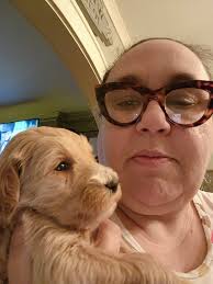 New golden doodle puppy introduction