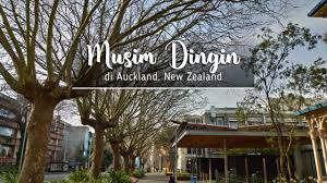 Memang sangat best la dengan musim bunga dan scenery dekat sana. Tentang Musim Dingin Di Auckland