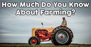 Zoe samuel 6 min quiz sewing is one of those skills that is deemed to be very. 10 Questions And Answers About Farming News Factory